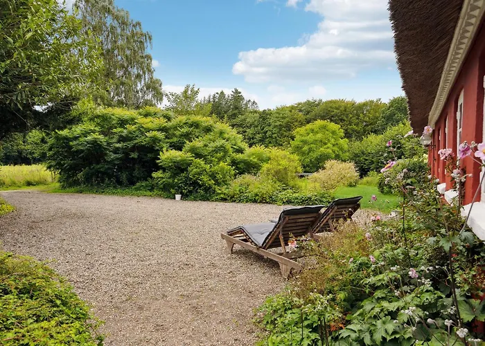 Pet Friendly In With Kitchen Vejle