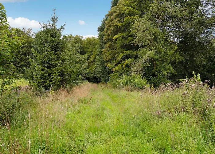 Pet Friendly In With Kitchen